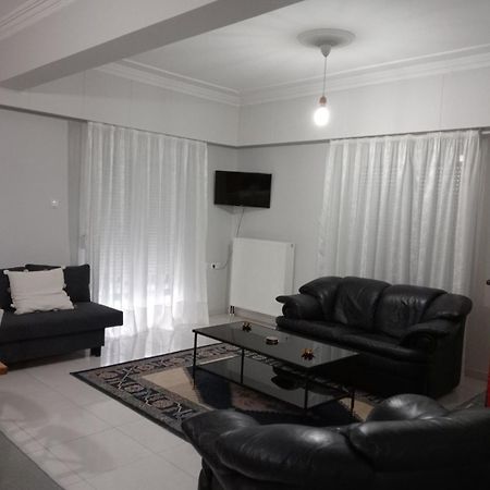 Spacious Apartment Anatoli يانينة المظهر الخارجي الصورة