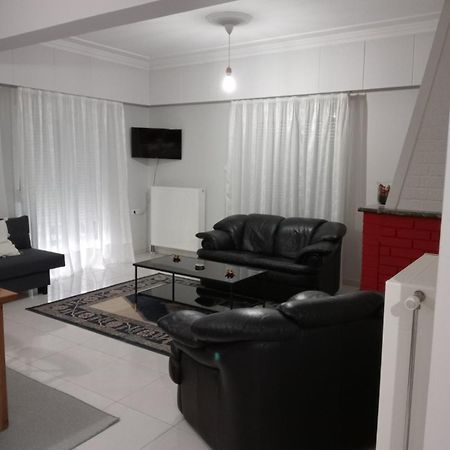 Spacious Apartment Anatoli يانينة المظهر الخارجي الصورة